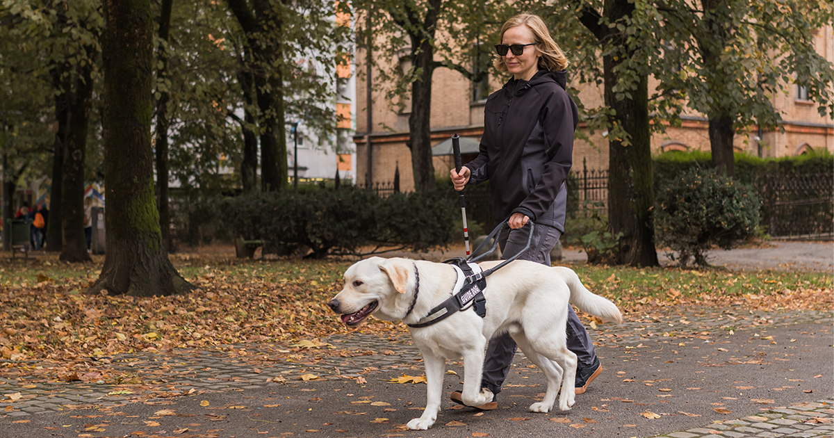 Person walking with seeing eye dog